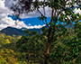 Costa Rica- Parque Cerro Chirripo