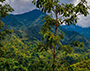 Costa Rica- Parque Cerro Chirripo