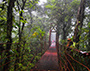 Monteverde Costa-Rica