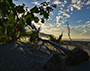 Falter Isla Ometepe